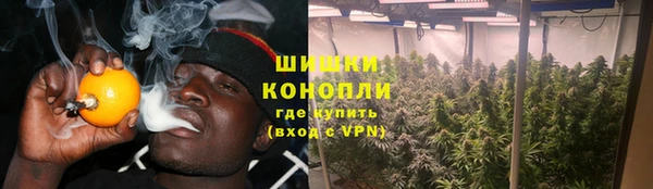 mdpv Горно-Алтайск