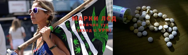 mdpv Горно-Алтайск