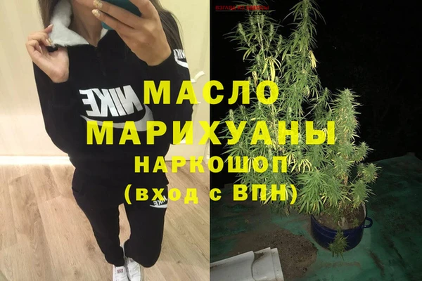амф Горняк