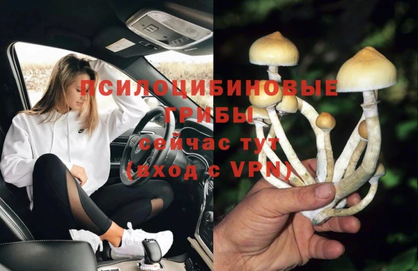 амф Горняк
