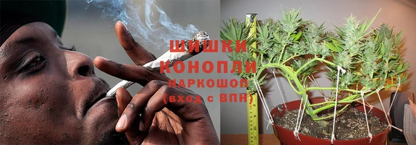 mdpv Горно-Алтайск