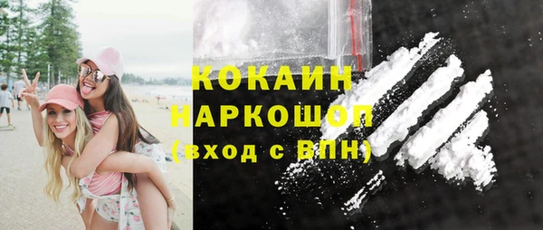 амф Горняк