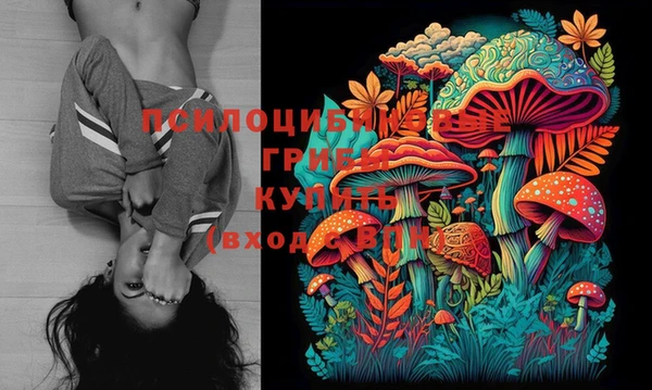 mdpv Горно-Алтайск